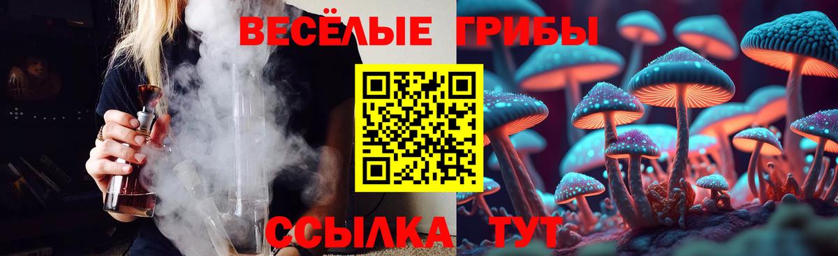 Галлюциногенные грибы Psilocybine cubensis Рязань